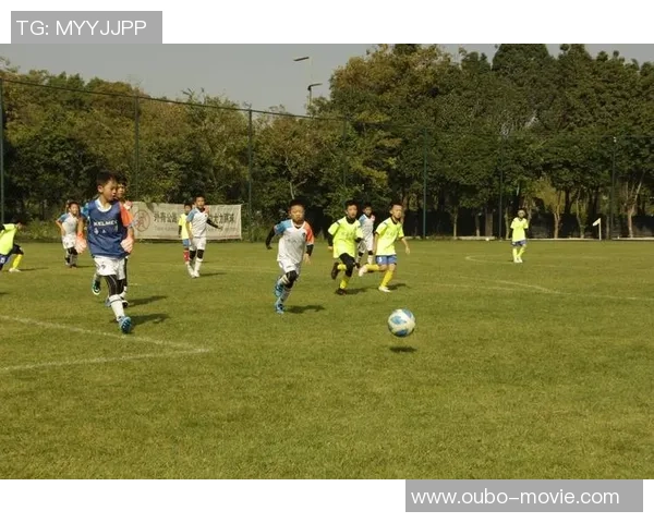浦东足球培训学校助力青少年成长打造足球梦想的摇篮与未来之星
